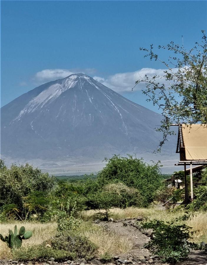 Africa Safari Lake Natron Mtowabaga Kültér fotó